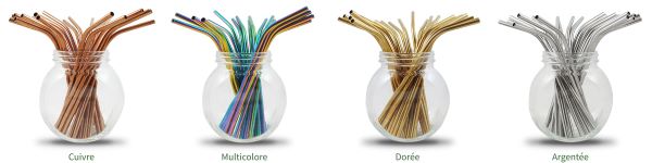 Bambaw -- Pailles en inox argentées x 100